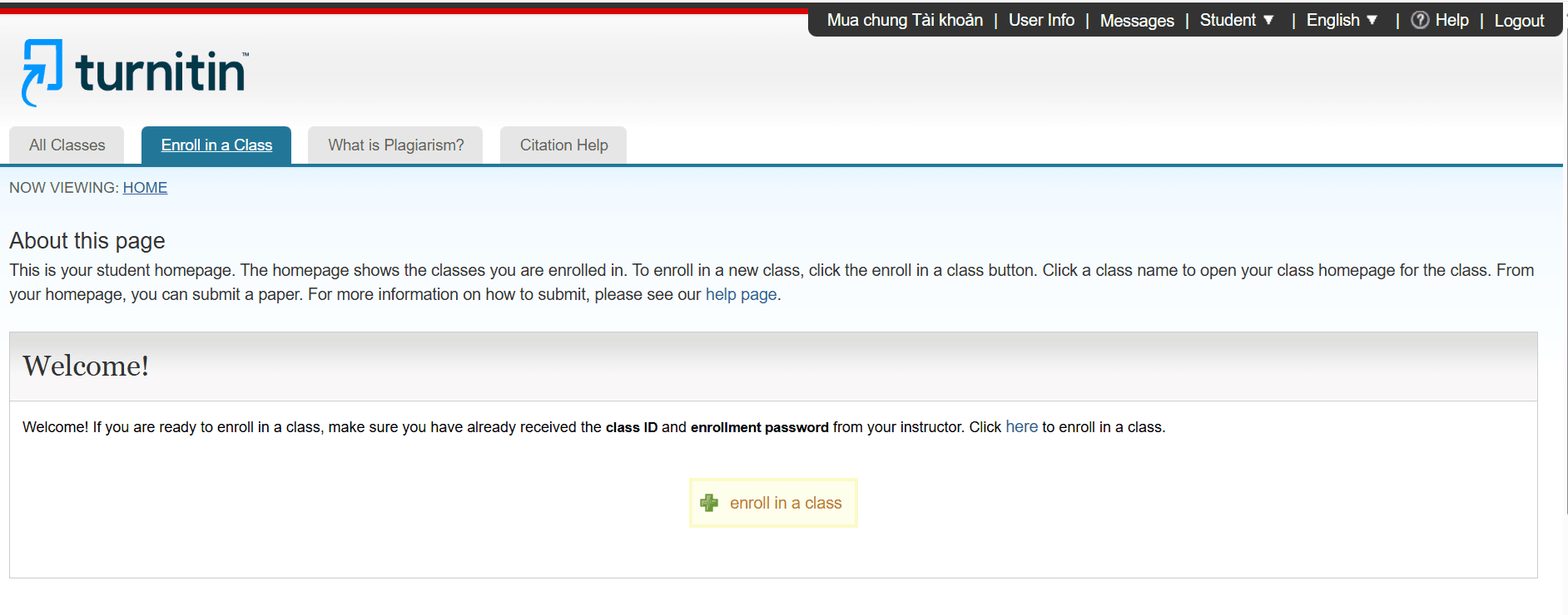 Giao diện tài khoản Turnitin