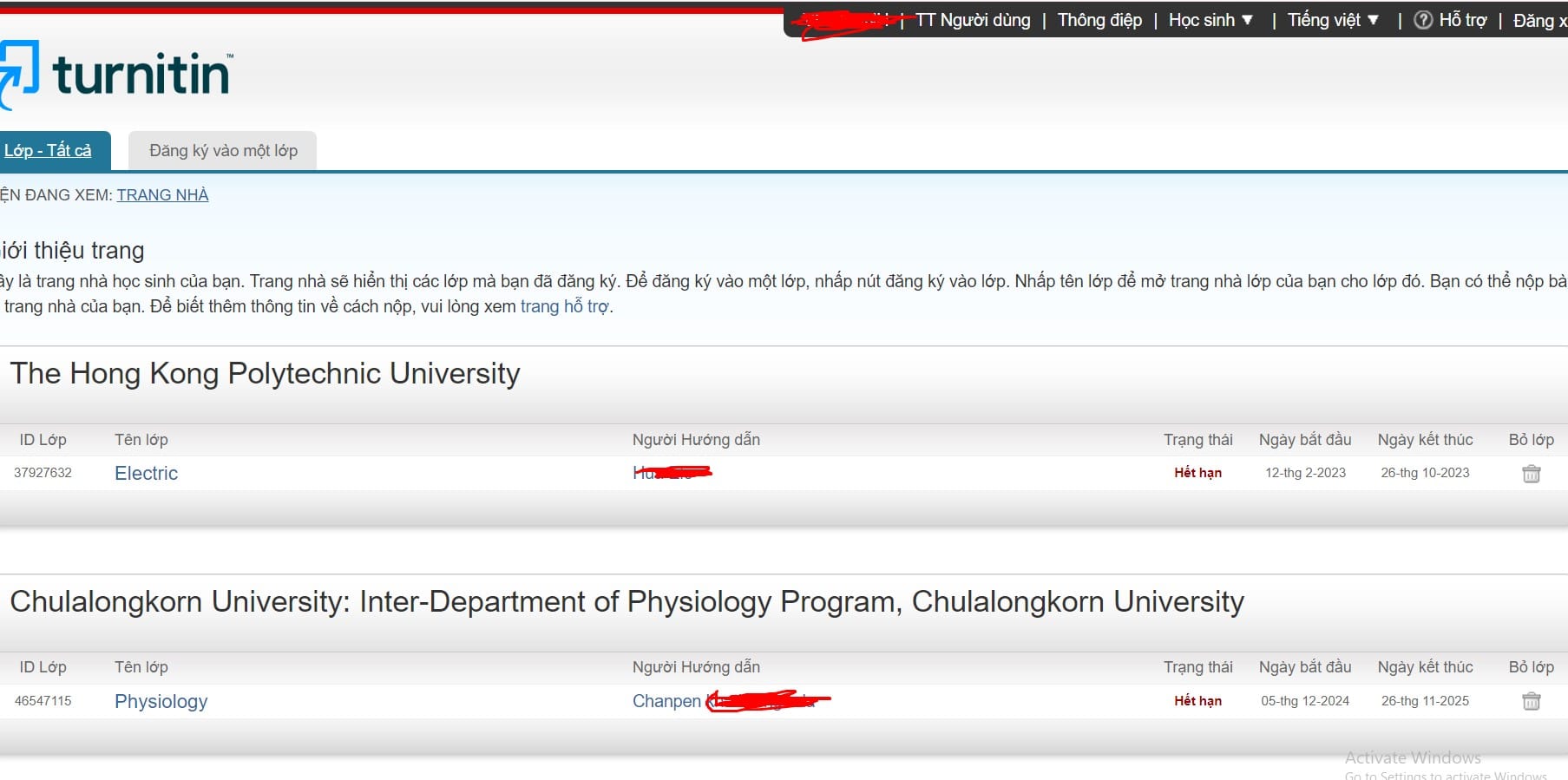 giao dien ben trong turnitin se nhu the nao
