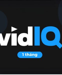 VidIQ Pro Group Buy