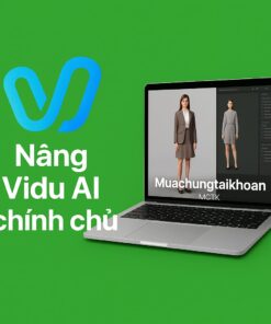 Nâng cấp tài khoản Vidu AI Premium Giá Rẻ
