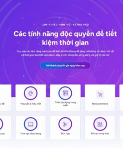 Theme Astra Pro