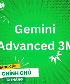 Gemini Advanced 3M – Trải Nghiệm AI Gemini Ultra 1.0 Trong 3 Tháng