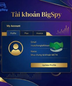 BigSpy