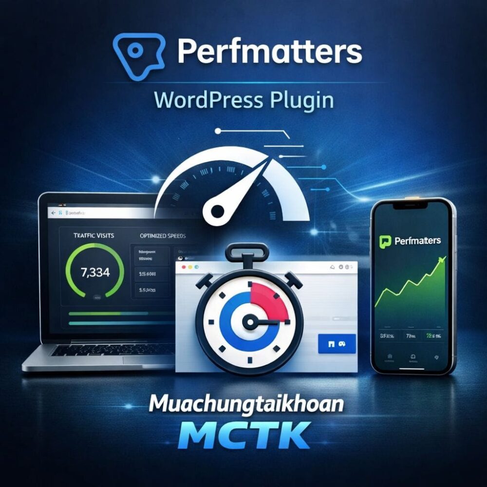 Perfmatters-WordPress-Plugin