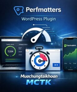 Perfmatters-WordPress-Plugin
