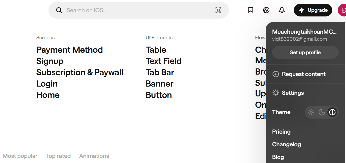 giao diện tài khoản mobbin pro