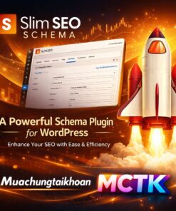 Slim-SEO-Schema