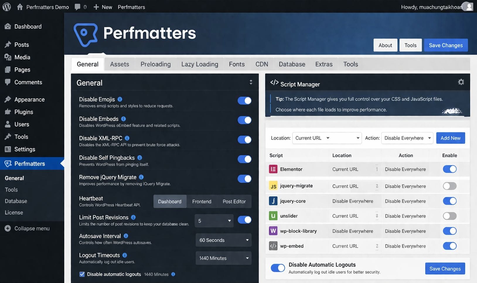 giao diện Perfmatters WordPress Plugin