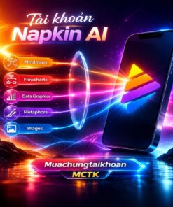 tai-khoan-Napkin-AI