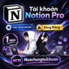 tai-khoan-notion-pro