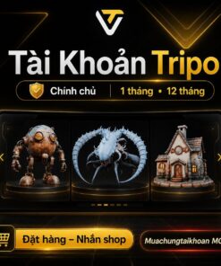 tai-khoan-Tripo
