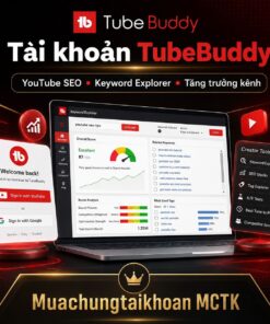 tai-khoan-tubebuddy