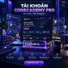 Codecademy Pro