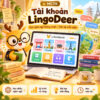 Lingodeer