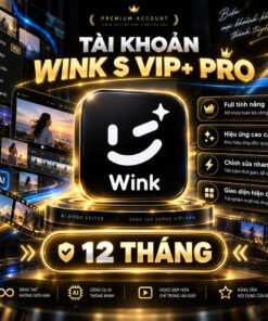 WINK VIP